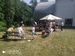 IMG_20220618_164258.jpg