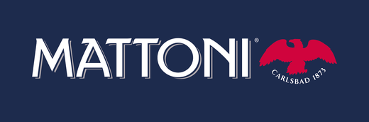 Mattoni_logo_modre_pozadi_primarni.PNG