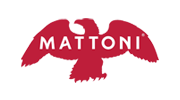 partner-2021-mattoni.png