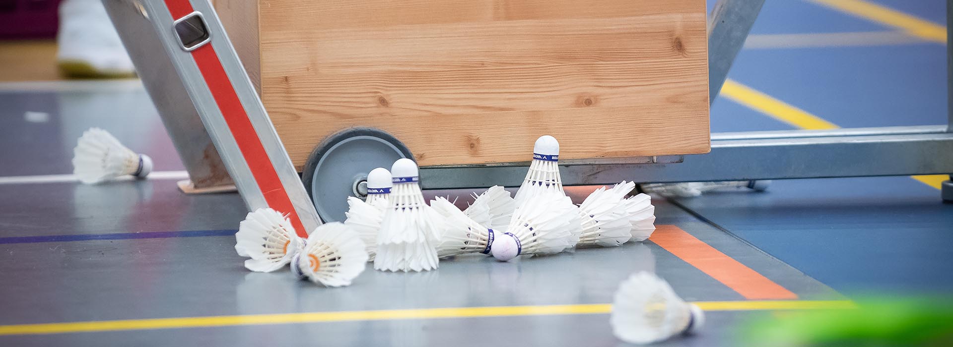 Badminton Karlovy Vary